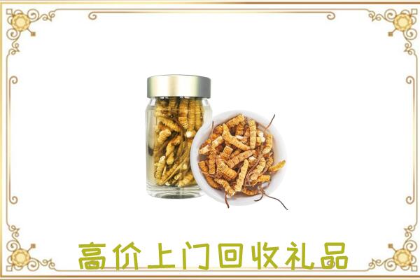 忠市周边回收虫草